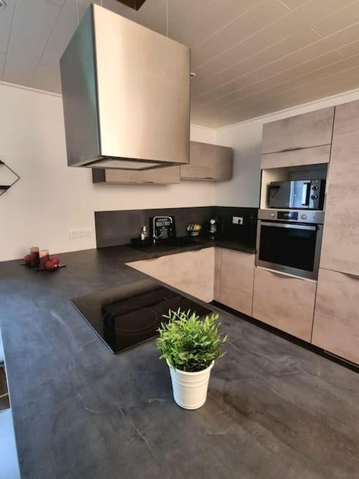 Appartement Chaleureux 80M2 Орбе Екстериор снимка